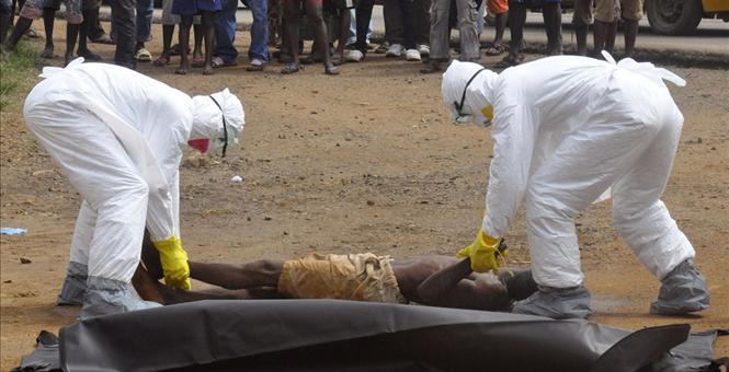 psicosi ebola vicenza