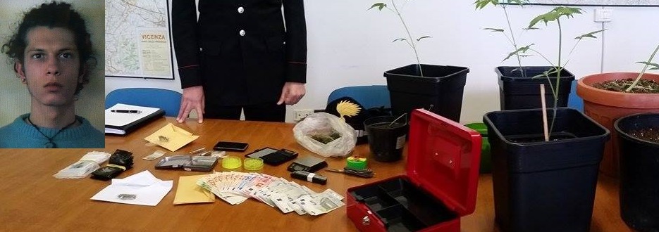 arresto marijuana tviweb