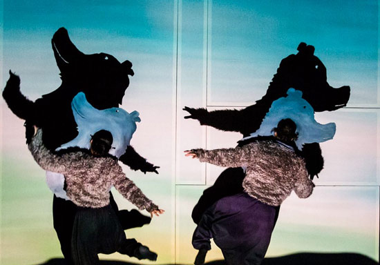 STORIE DI ORSI tviweb