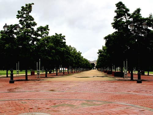 viale dalmazia tviweb