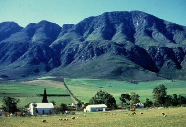azienda_agricola_sudafrica