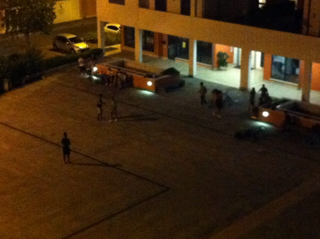 VICENZA – Forza Nuova a Santa Bertilla… “stop criminalità”