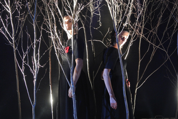 sui campi di fiandra sbocciano i papaveri - theama teatro