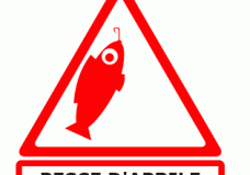 pesce-aprile-tviweb-vicenza