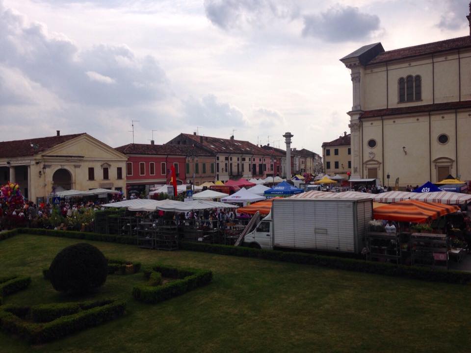 11185455_357678454432416_1447319715_n