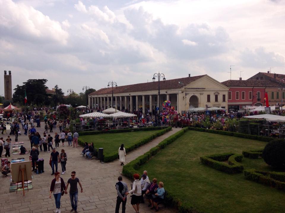 11185478_357678567765738_256930116_n