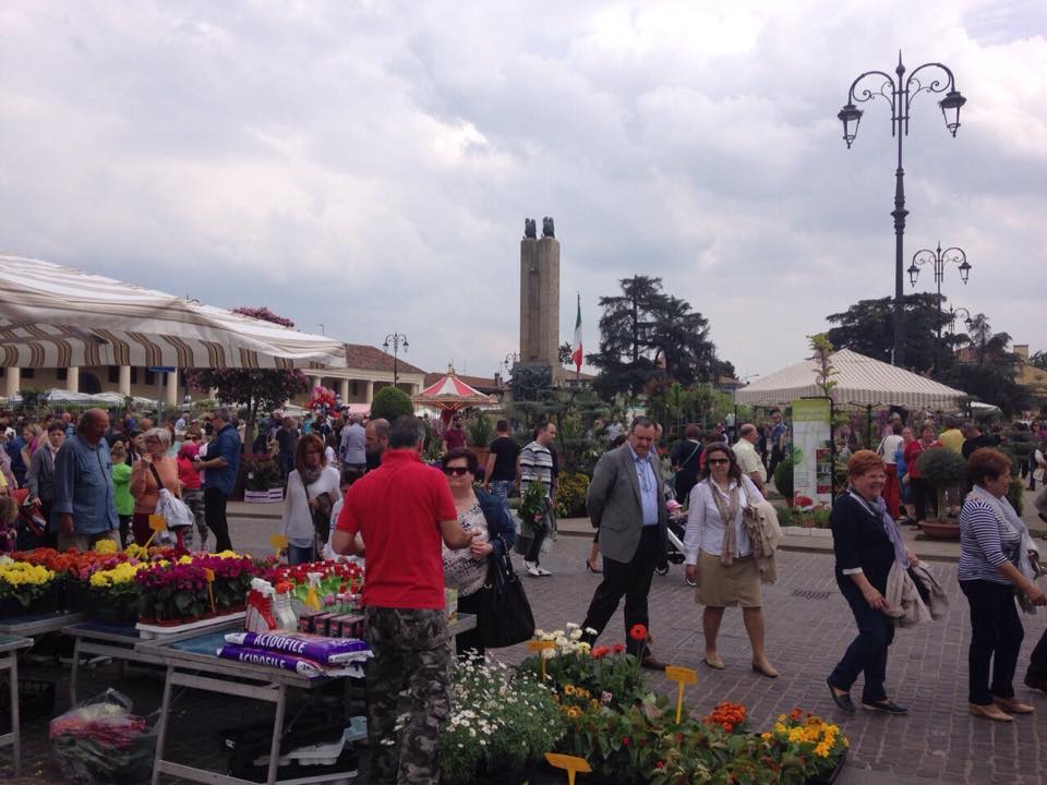 11185639_357678434432418_682881841_n