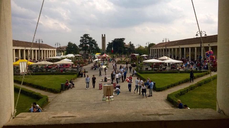 11198604_357678564432405_1303715685_n