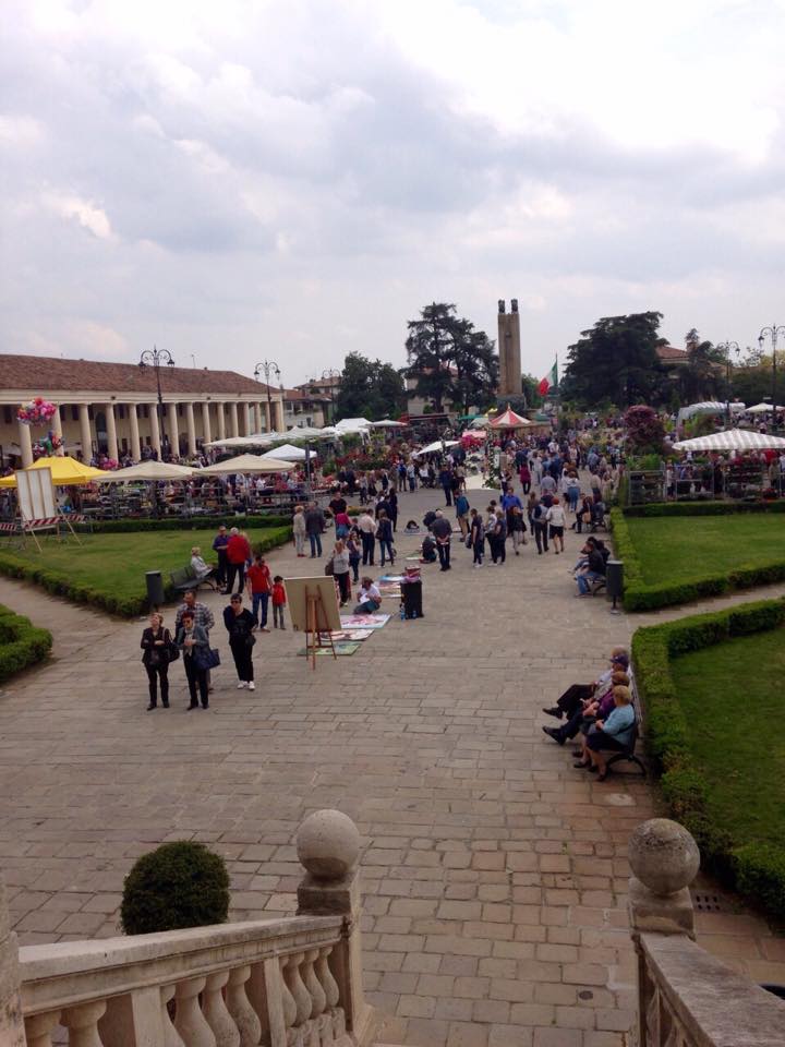 11208961_357678467765748_45118772_n