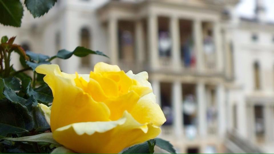 11216113_357678547765740_207391828_n