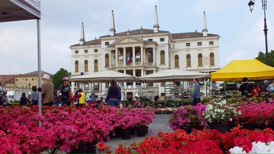 11216341_357678524432409_2013629754_n