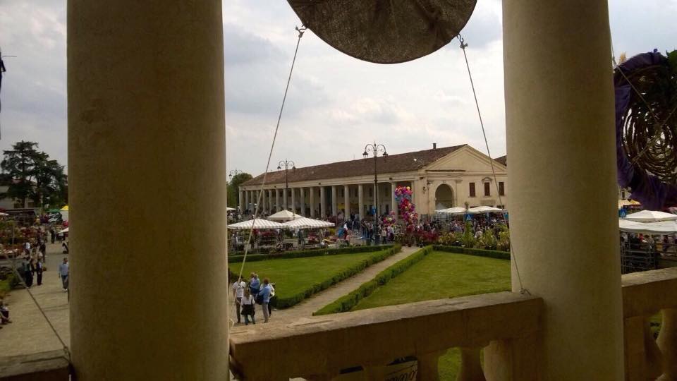 11225550_357678561099072_1264790645_n