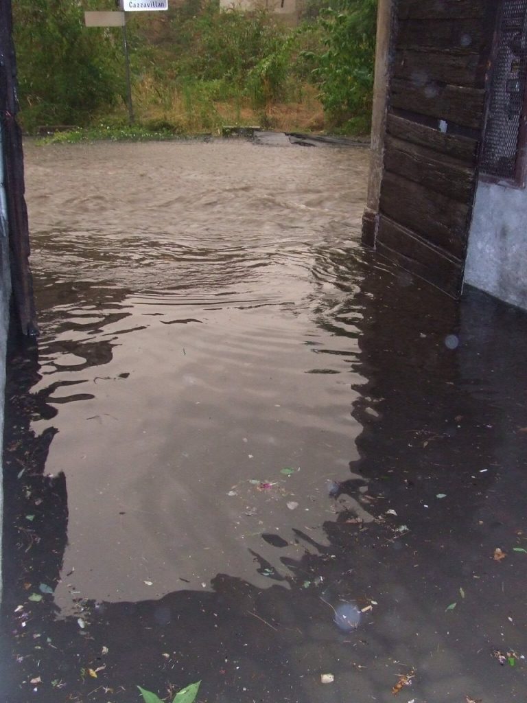 11806815_10153071084711395_1283372204_o