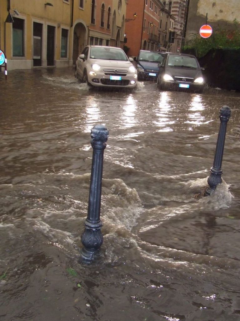 11831340_10153071084751395_625753776_o