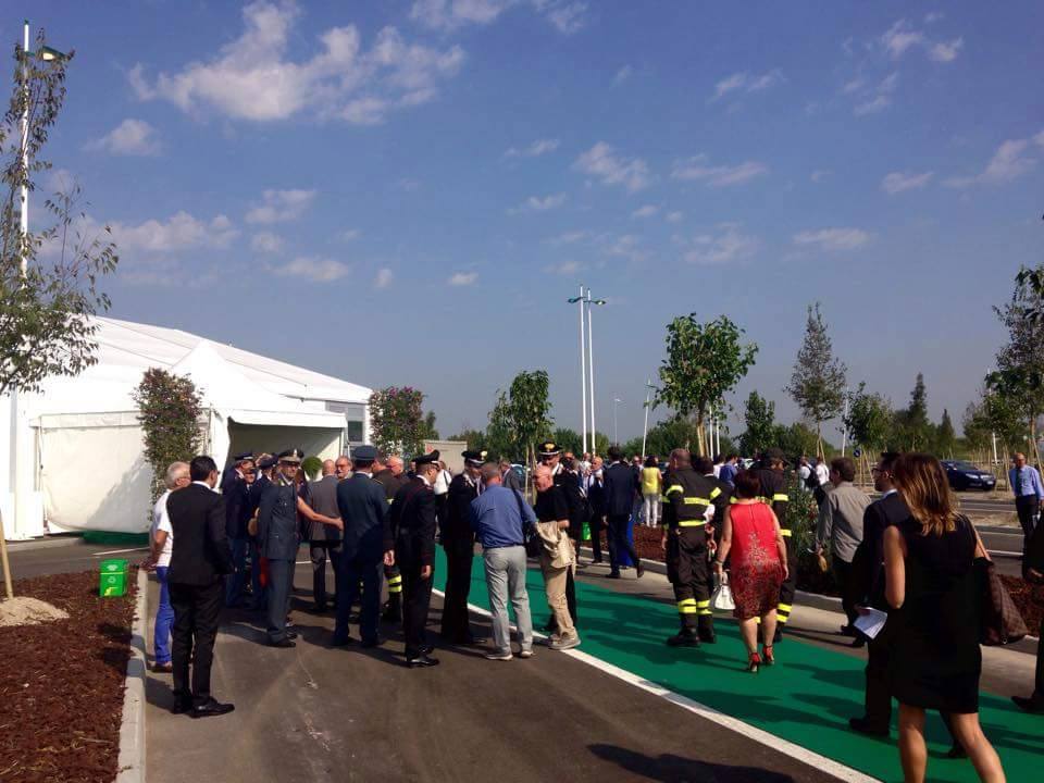 11922884_10153141198606395_234169192_n