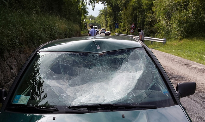 2015-08-05 14.46.10 (1)