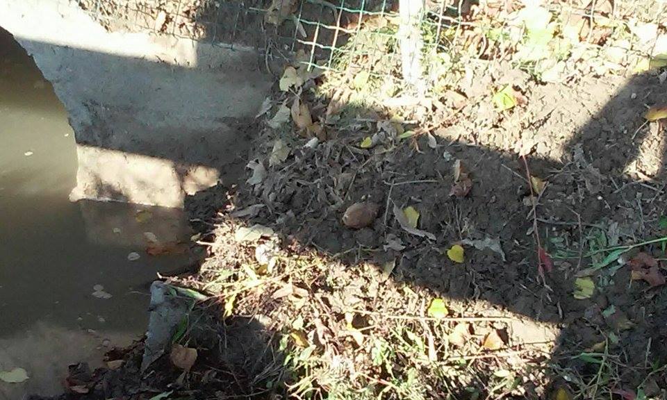 12048708_10153249376346395_1334290230_n