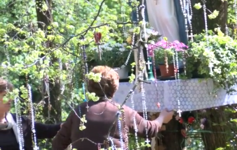 veggente monte berico