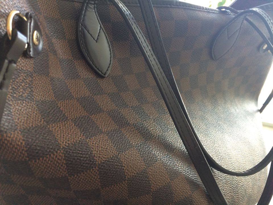 12226911_421598851373709_517698226_n