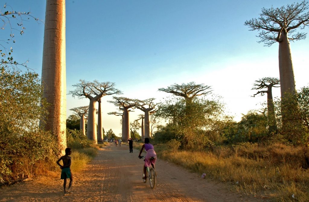 VICENZA-MADAGASCAR: Mondobimbi, a Ponte Alto il buffet malgascio, musica e i viaggi solidali