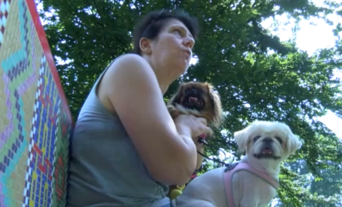 appello eslisabetta sottoscrizione fondi