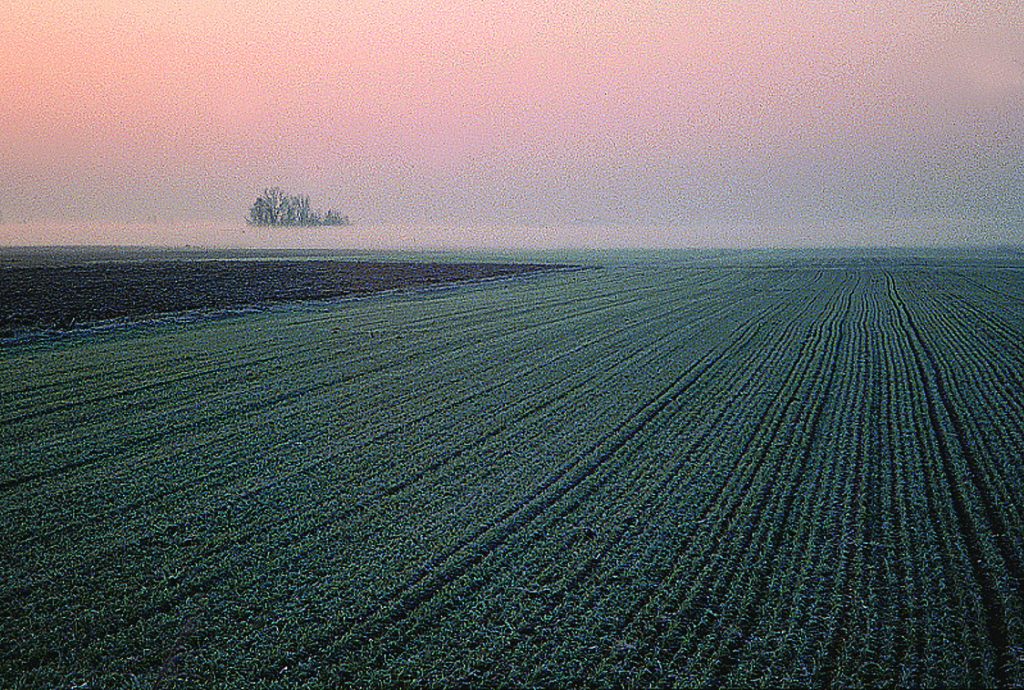 VENETO – Meteo, torna il sole… ma si va sotto zero