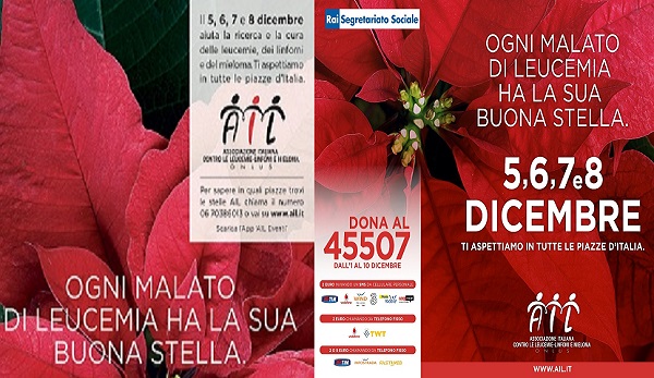 immagine-stelle-di-natale-ail-2015-1