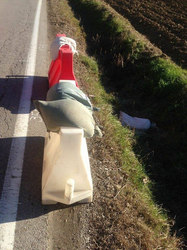 12583680_10153392387401395_593530309_n