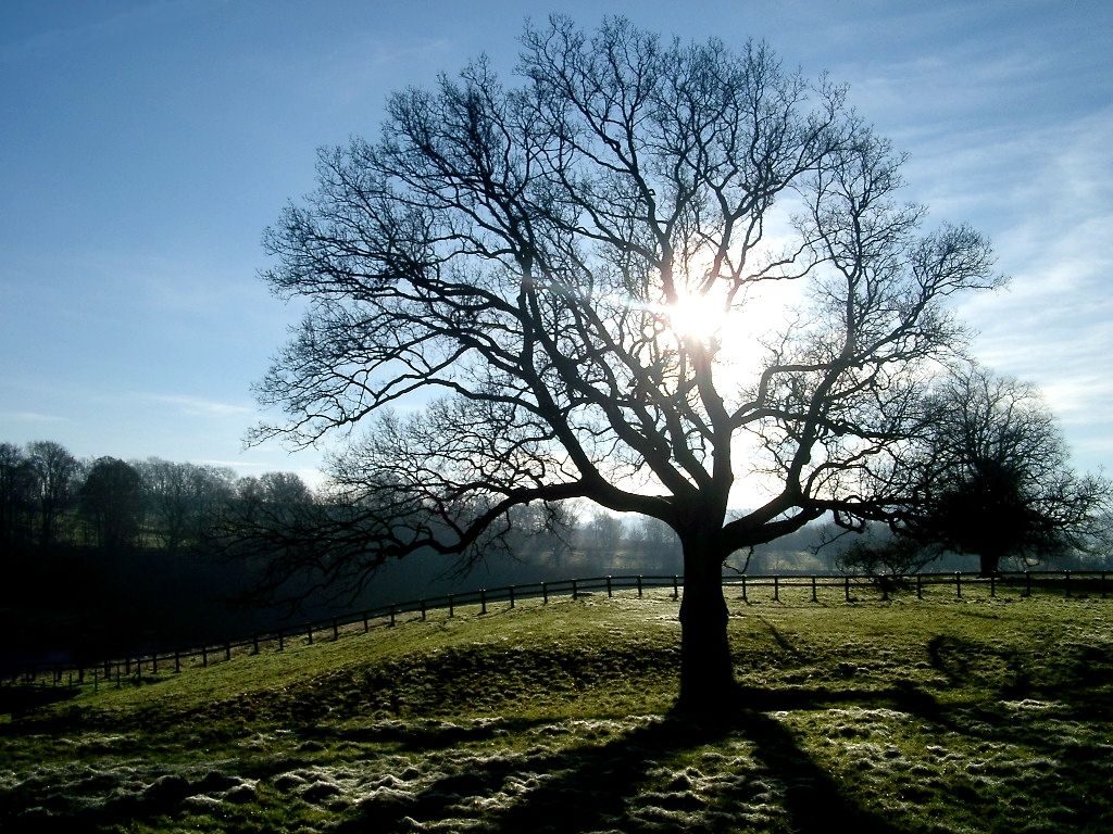 VENETO – Le previsioni meteo per la settimana