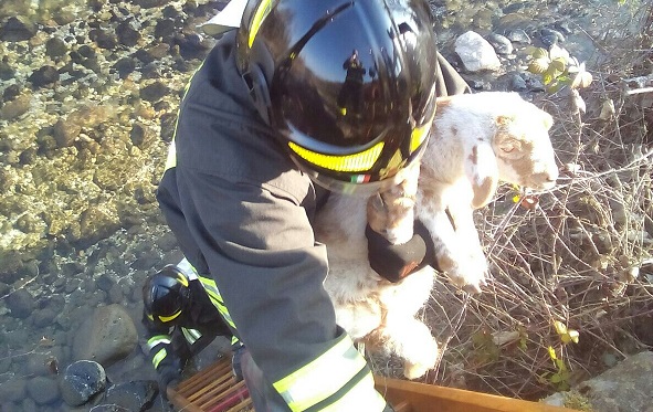 IMG-20160126-WA0011_wm