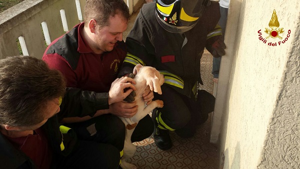 IMG-20160129-WA0011_wm