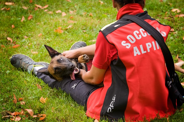 cani soccorso