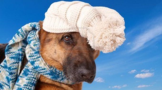 previsioni meteo veneto