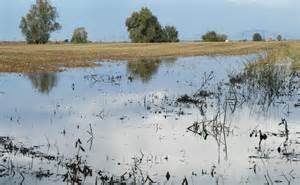 bonifica-esondazione