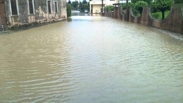 12736187_453517501515177_924359113_n