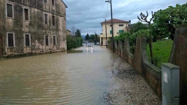 12784791_453517471515180_1266948925_n