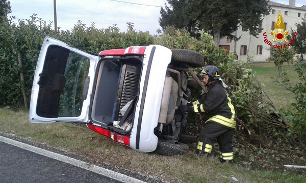 IMG-20160208-WA0006_wm