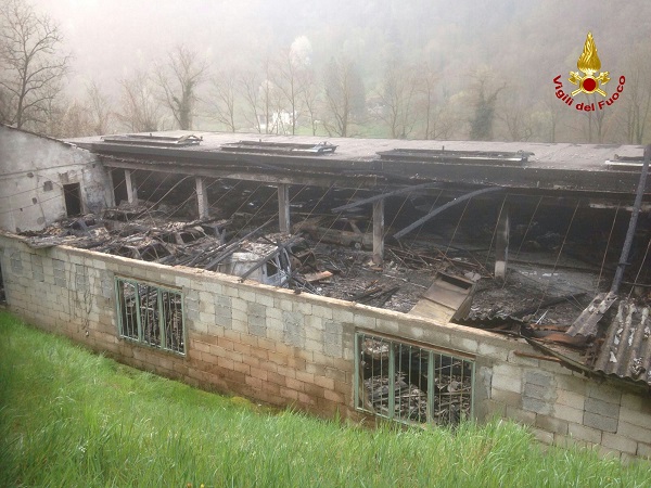 IMG-20160405-WA0006_wm