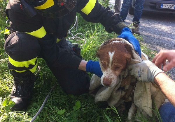 IMG-20160411-WA0001_wm