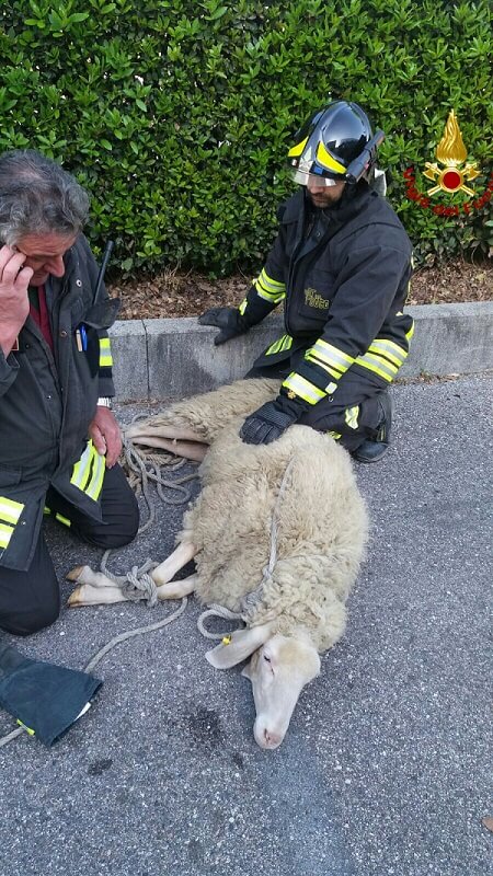 IMG-20160426-WA0015_wm