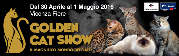 GoldenCatShow2016
