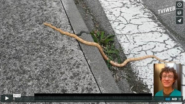 13183108_10153631685091395_1225480580_n