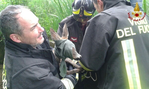 WhatsApp-Image-201605132