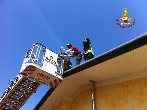 WhatsApp-Image-20160526