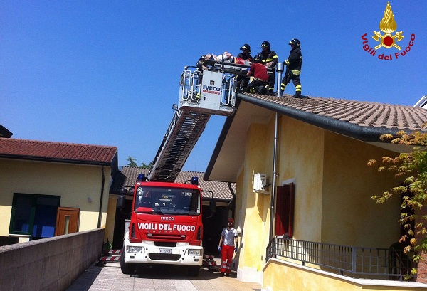 WhatsApp-Image-20160527