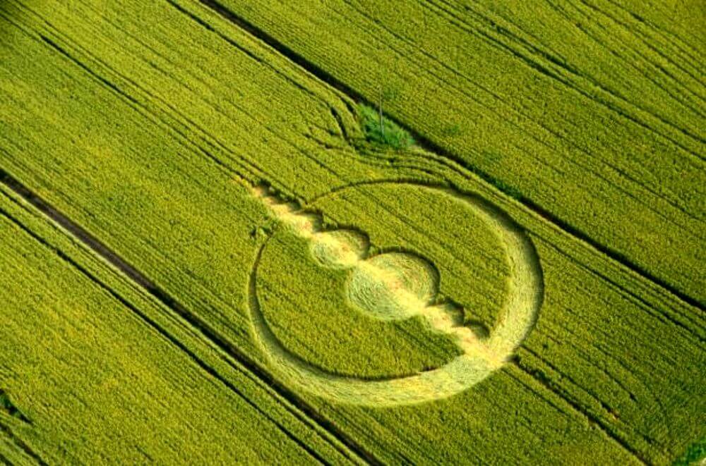 VICENZA – Cerchi nel grano: nuovo avvistamento?