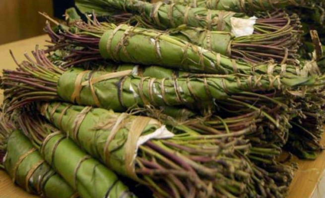 VENETO – Arriva la Khat: la droga dei poveri sequestrata a Padova