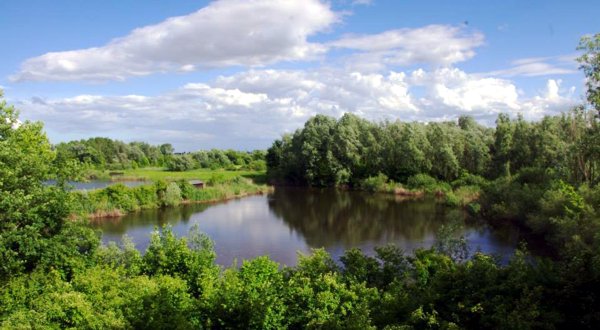 CASALE – Giornata delle Oasi 2016