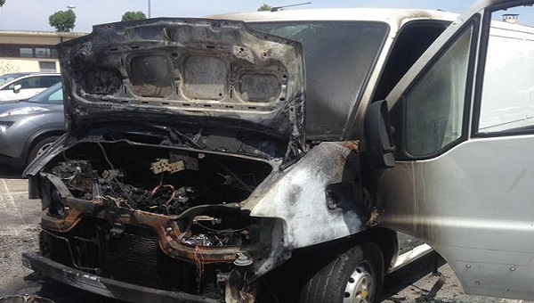 13506999_10208067093969207_9146108511268376754_n