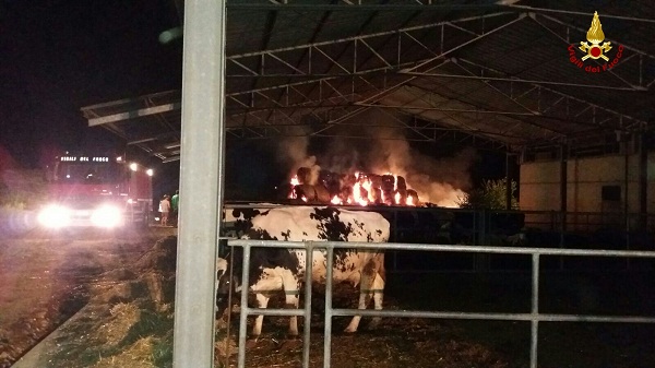 IMG-20160630-WA0016_wm